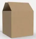 Screenshot_20250805-130156_Chrome.webp